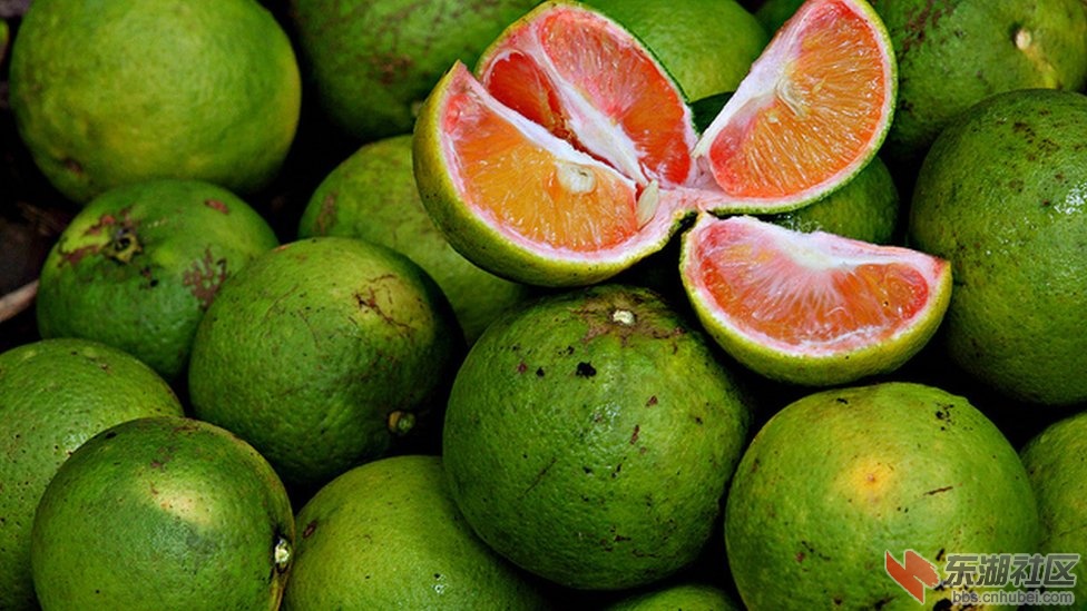 _57204327_11_ghana_oranges_paullee.jpg