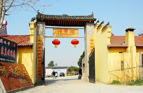 泰（3）.jpg