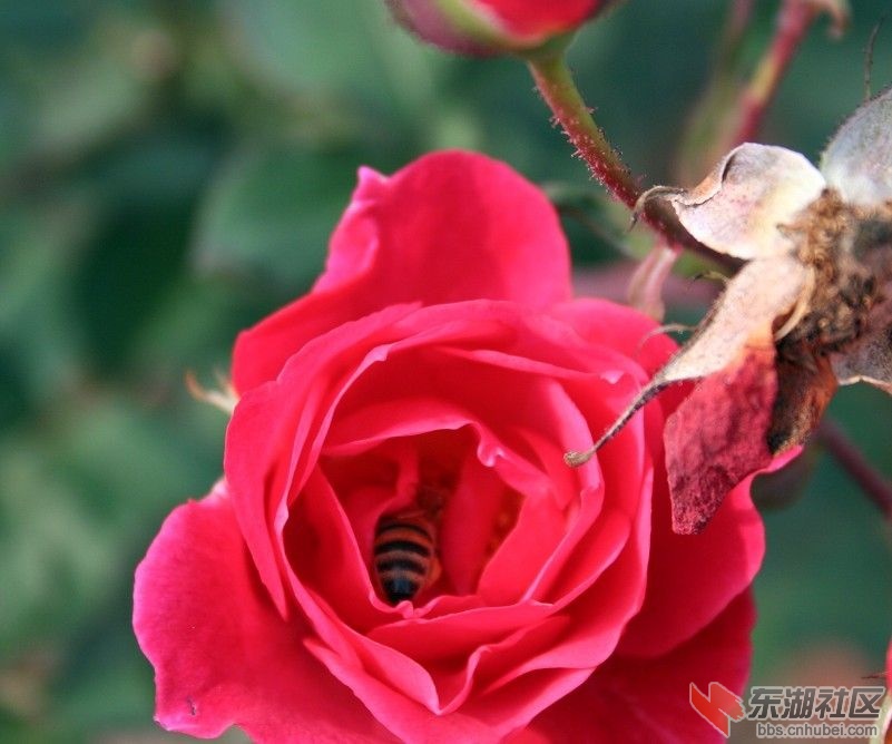 2011111023292825355.jpg