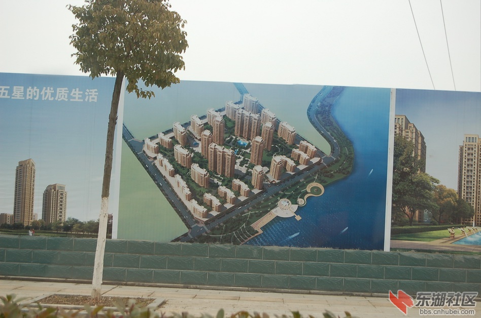 DSC_1114.JPG