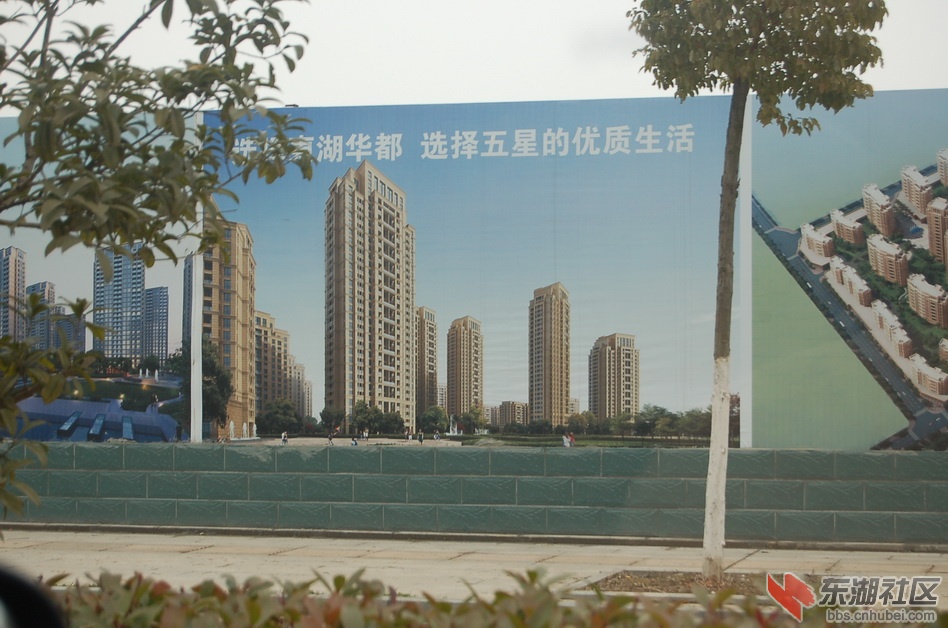DSC_1115.JPG