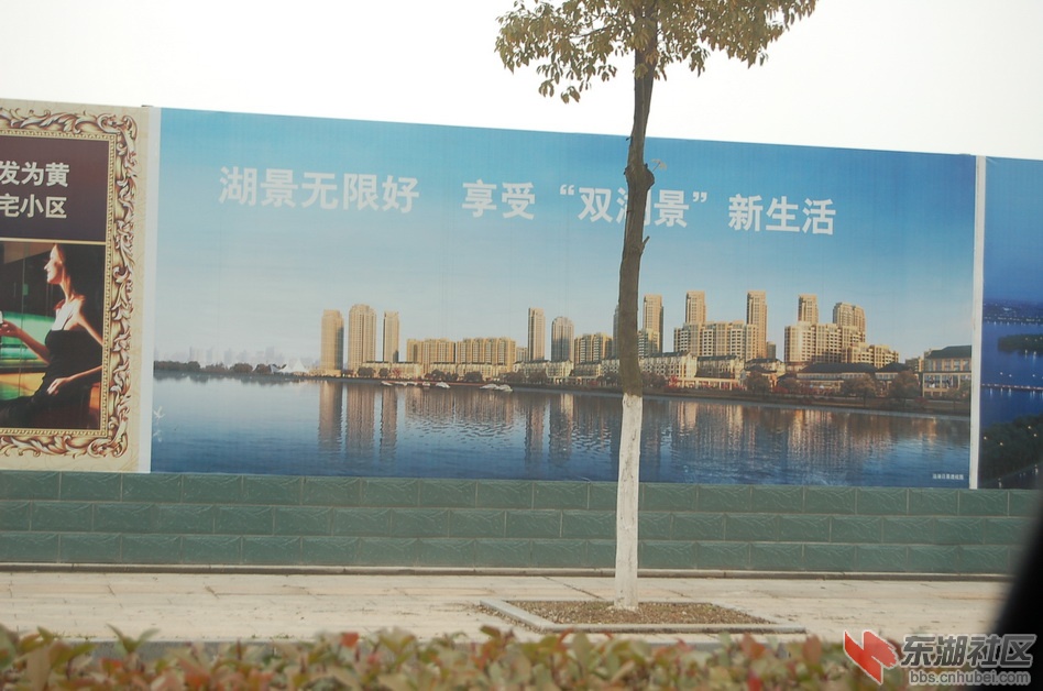 DSC_1117.JPG