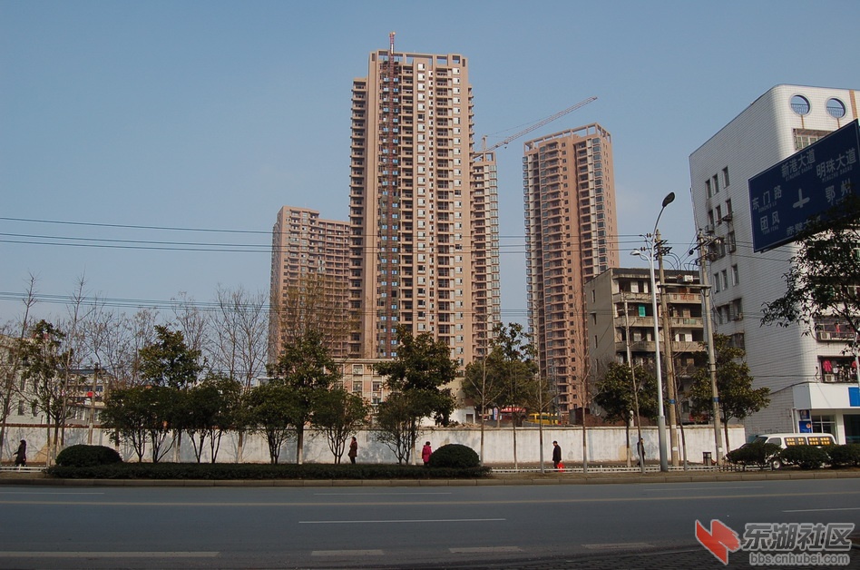 DSC_1139.JPG