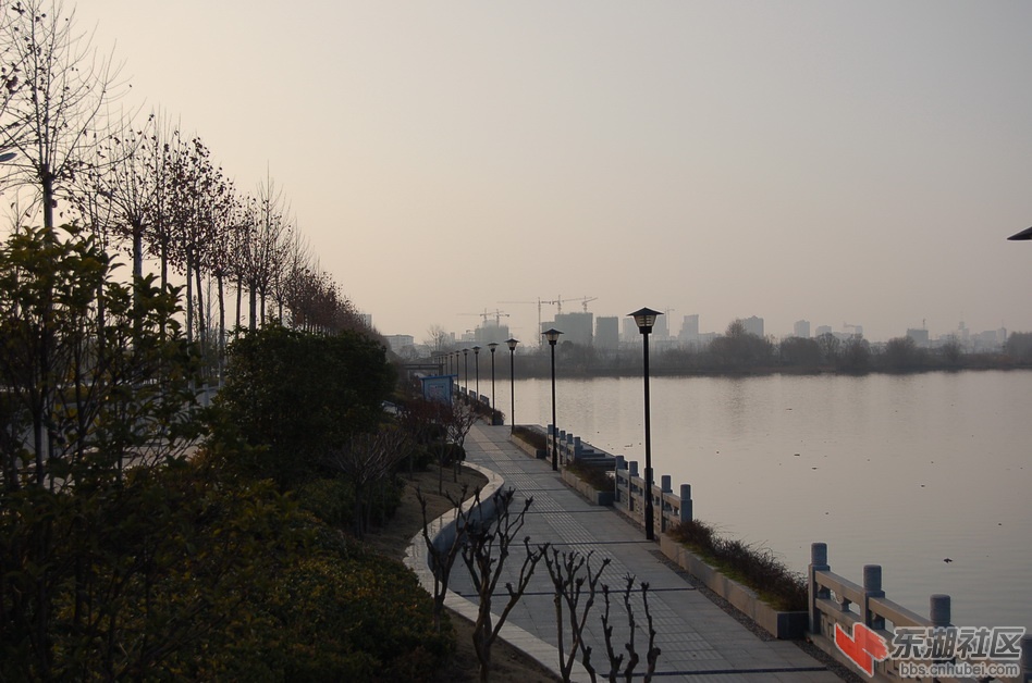 DSC_1183.JPG