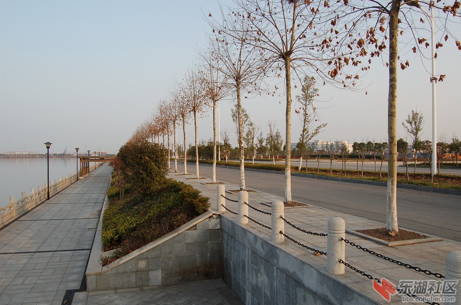DSC_1187.JPG