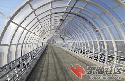 panel_wide_iStock_000010437545Medium.jpg