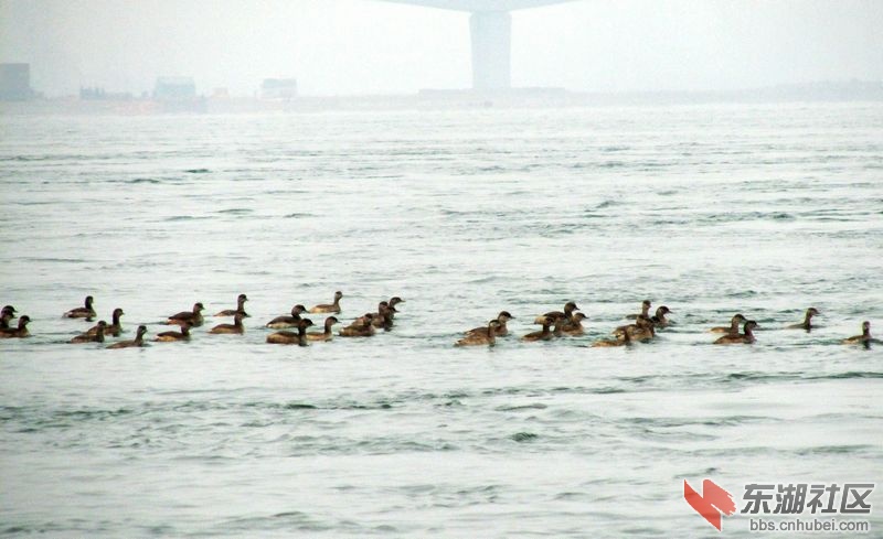 小2.jpg