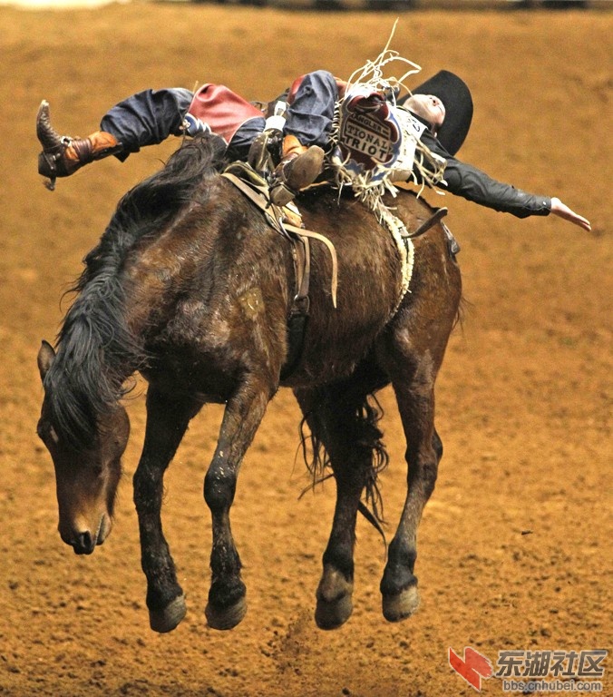 story-rodeo-finalsgood-118831.jpg