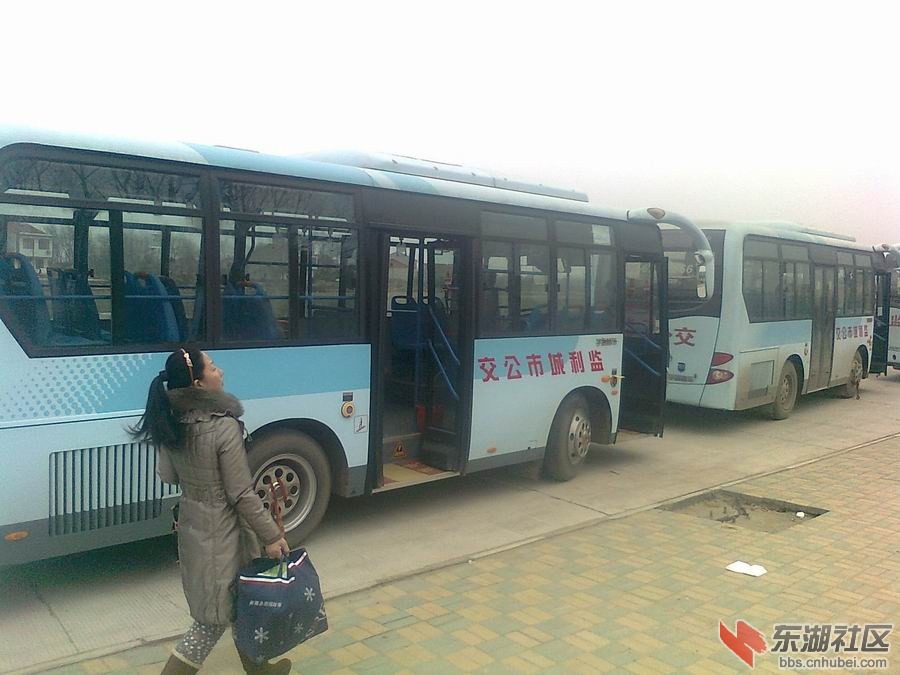 路边公交车二