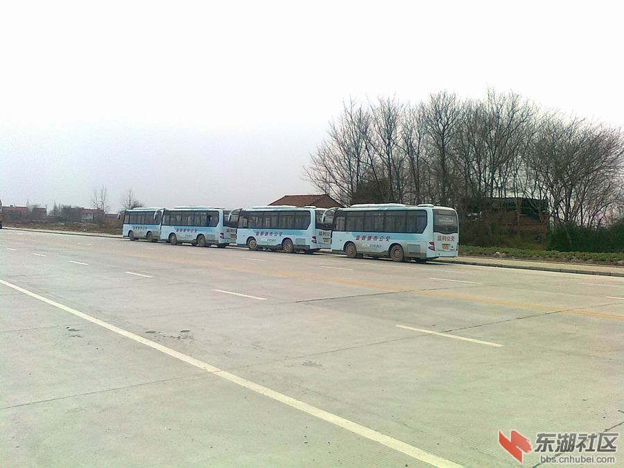 路边公交车一