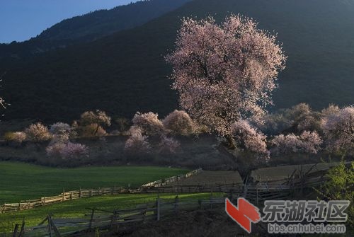 20100220_55e0df455cc2cb06230eCkgyTpx2WO9Z.jpg