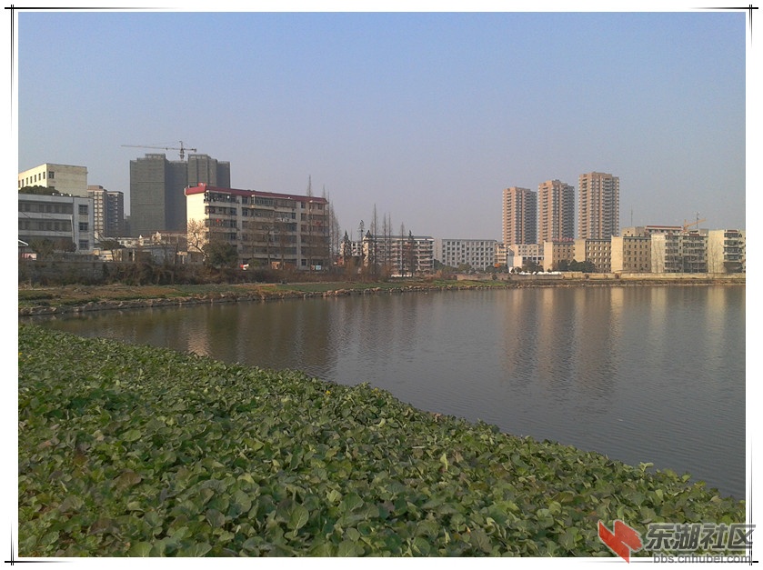 2012-02-03 15.41.22_副本.jpg