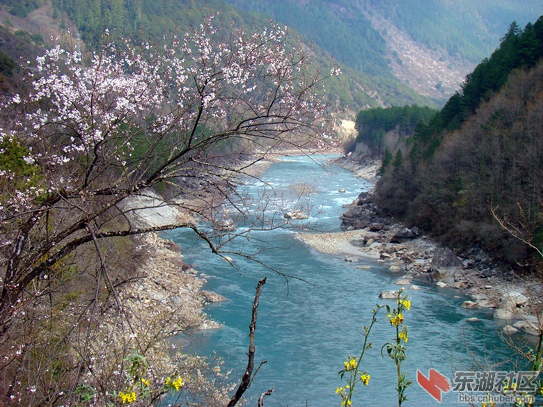 帕隆藏布江.jpg