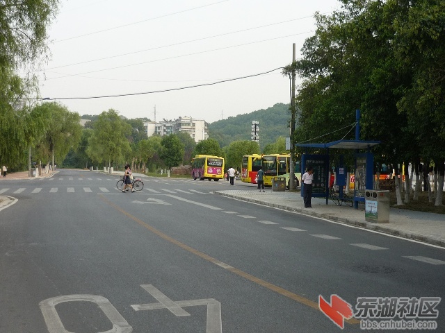 1274f6629beg215.jpg
