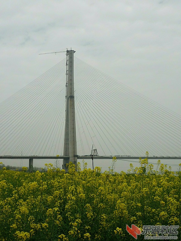 P1050723.JPG