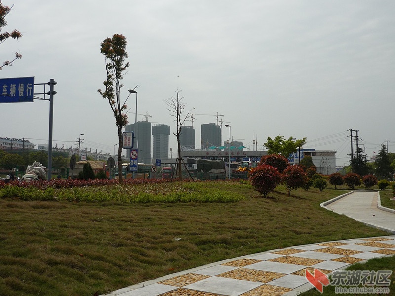 P1050728.JPG