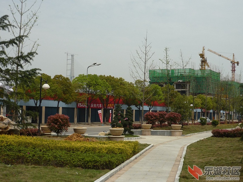 P1050730.JPG