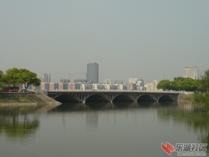 P1050785.JPG