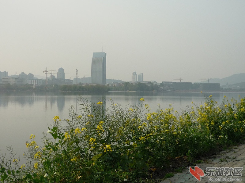 P1050788.JPG