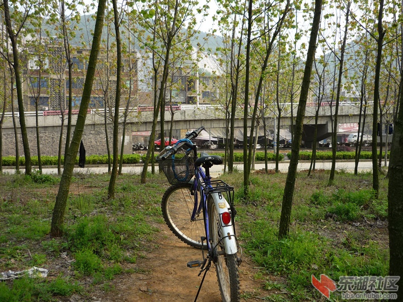 P1050801.JPG
