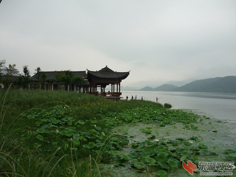 P1060305.JPG