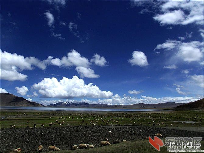 middle_163349_kaulcmio_fe252d48cdd6bb047d8bd1969aad4561.jpg