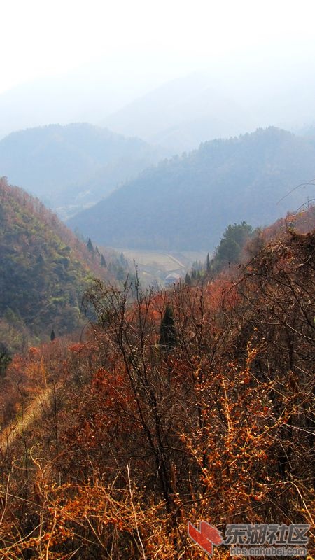 殷家河11.jpg