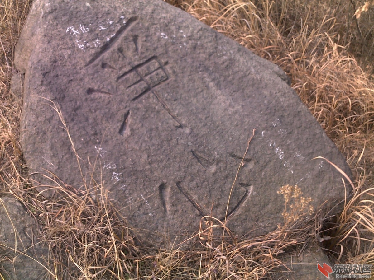 201202221087.jpg