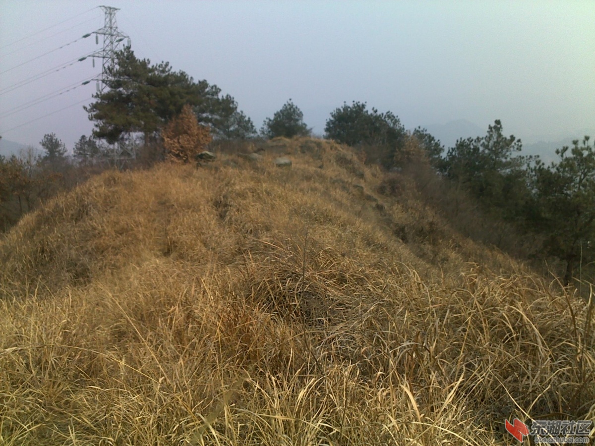 201202221088.jpg