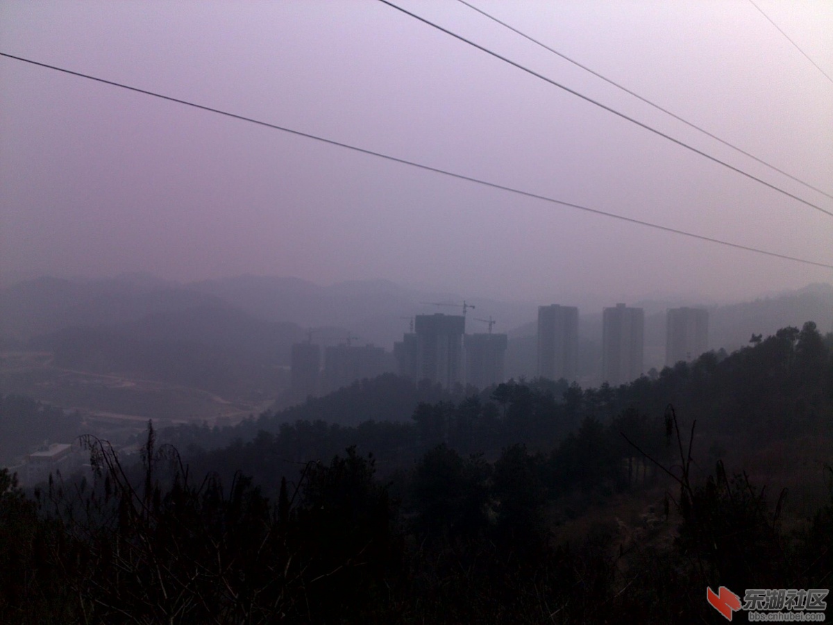 201202221085.jpg