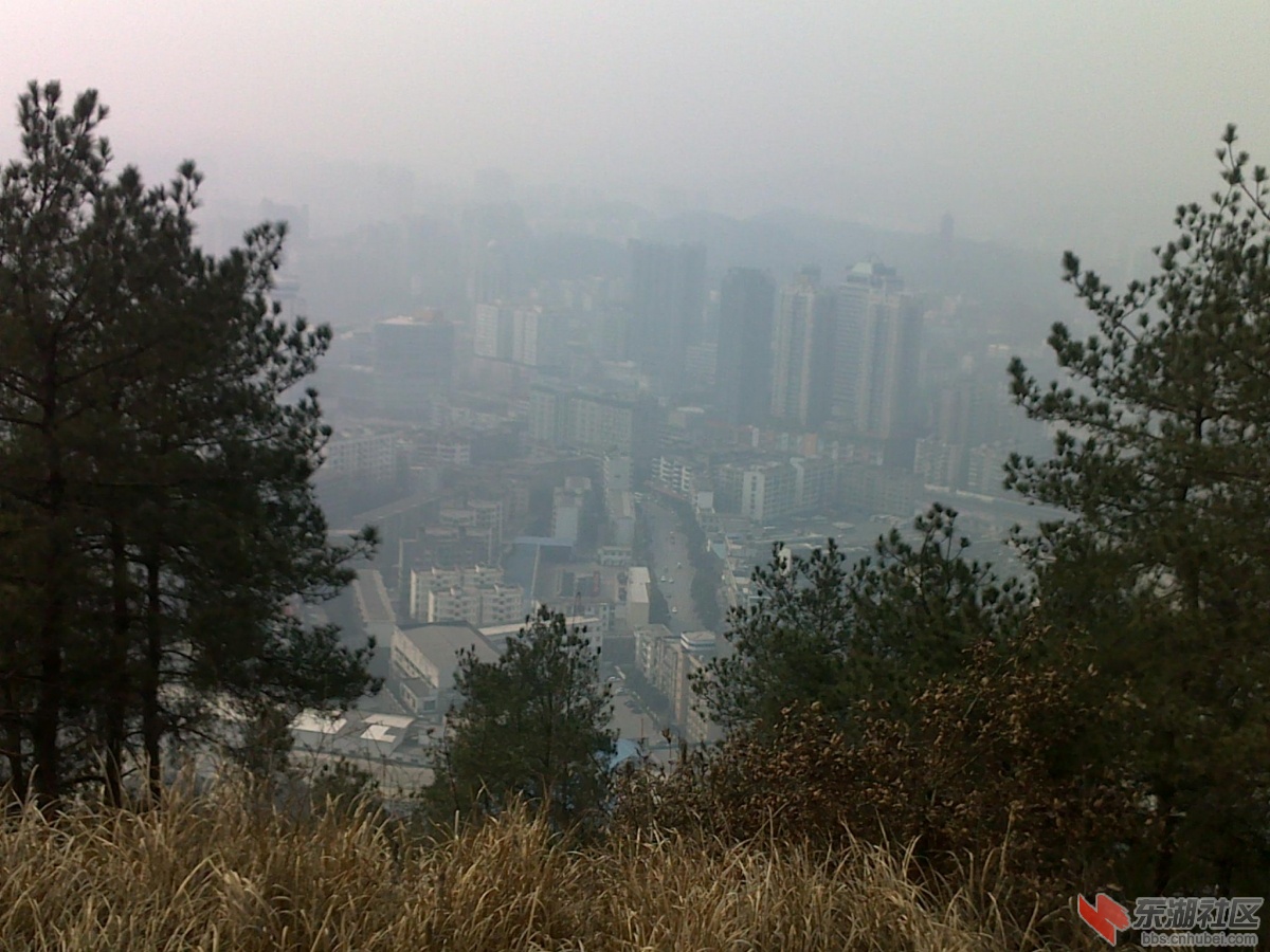 201202221091.jpg