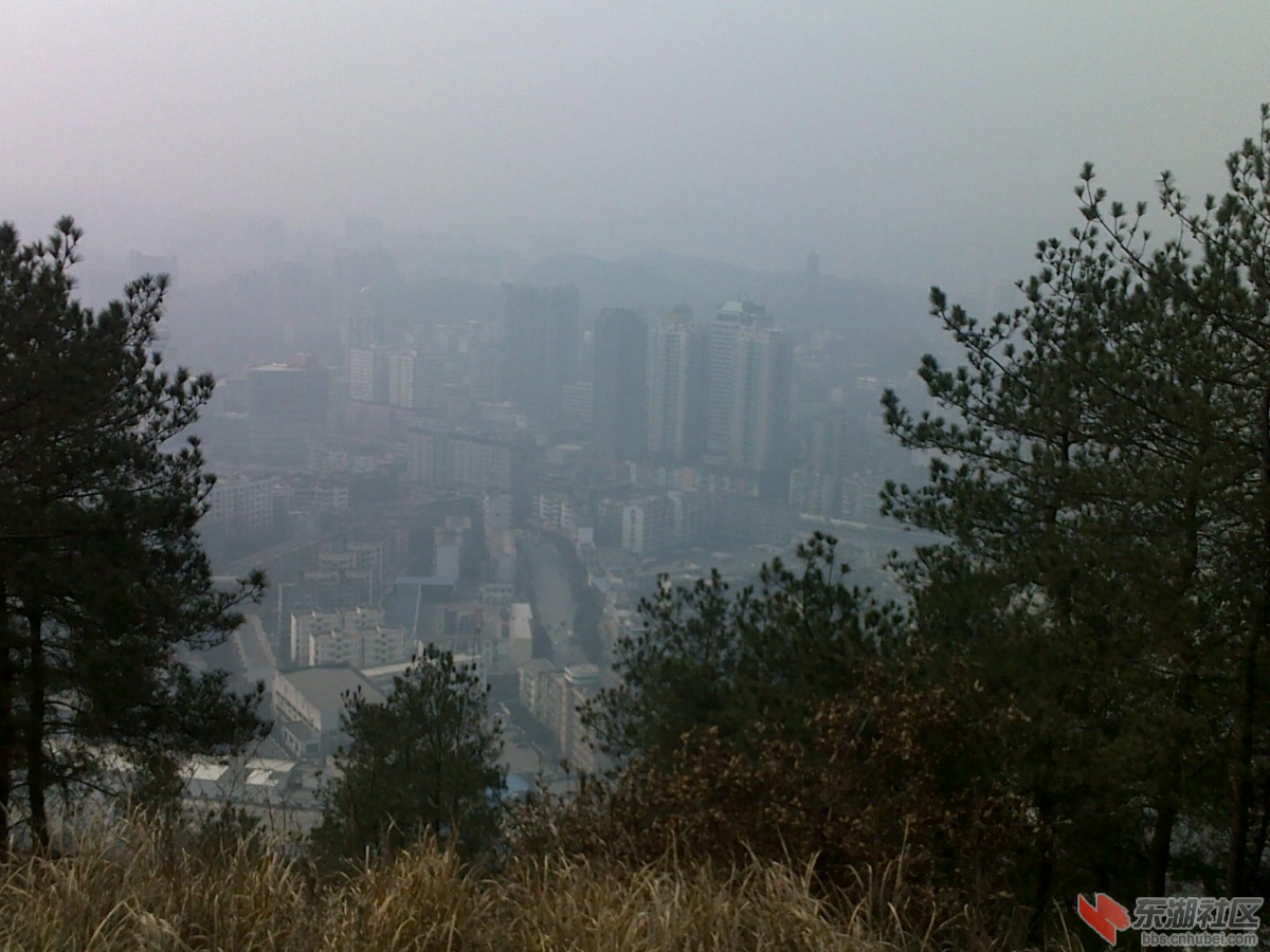 201202221094.jpg