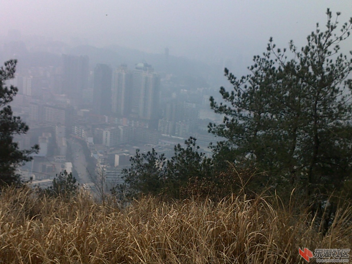 201202221097.jpg