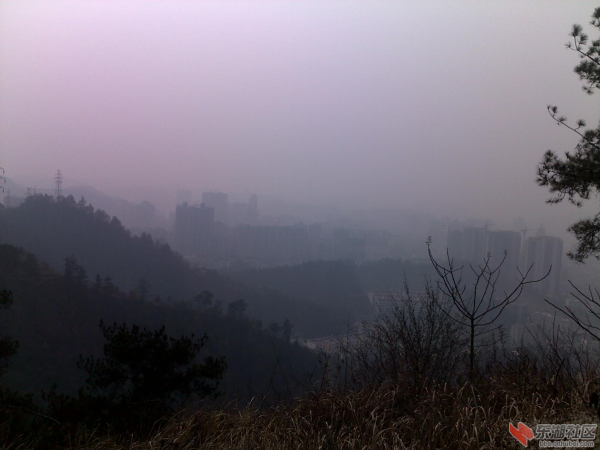 201202221098.jpg