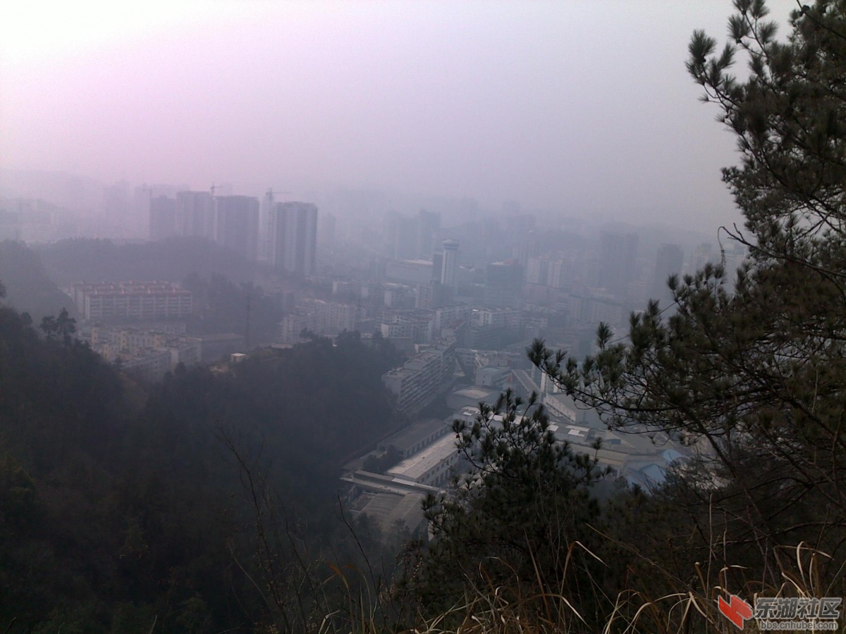 201202221100.jpg