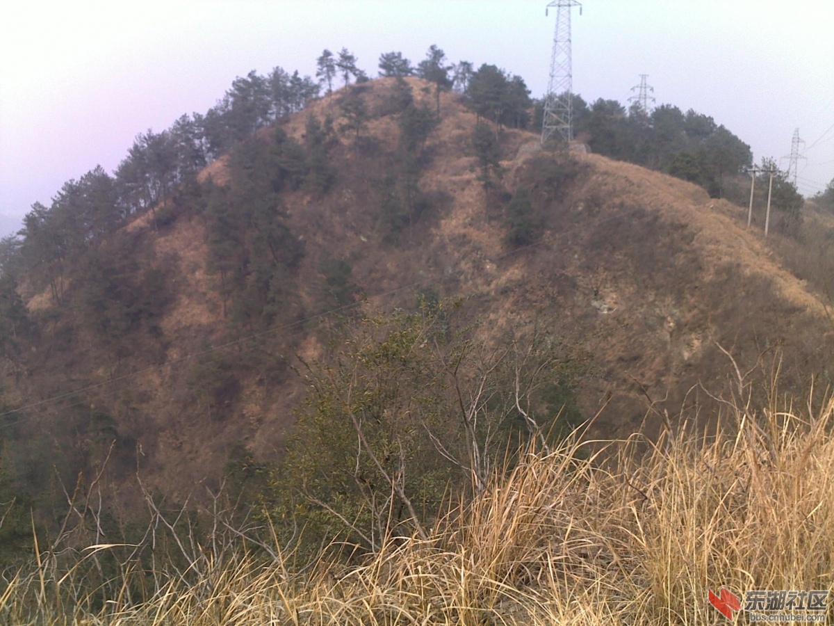 201202221110.jpg