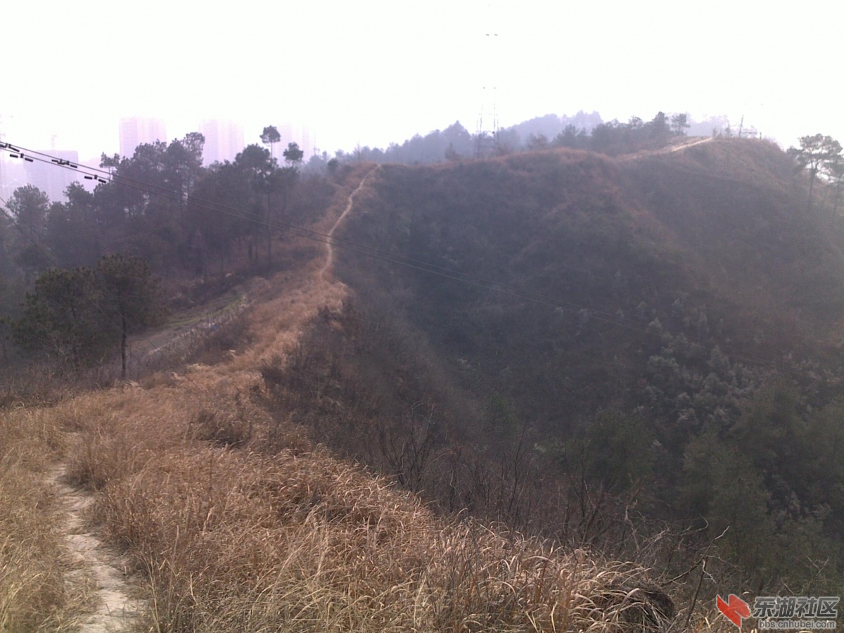201202221101.jpg