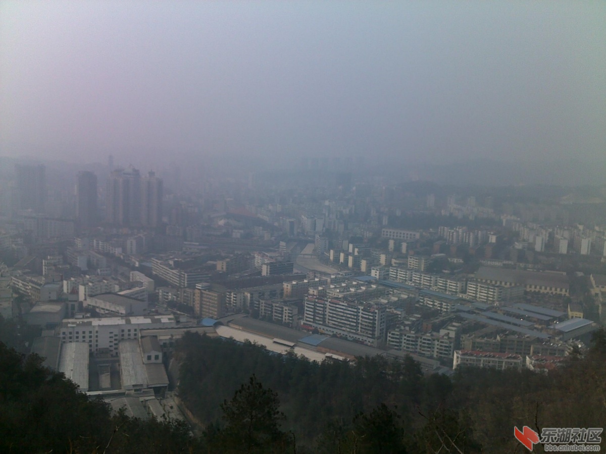 201202221108.jpg