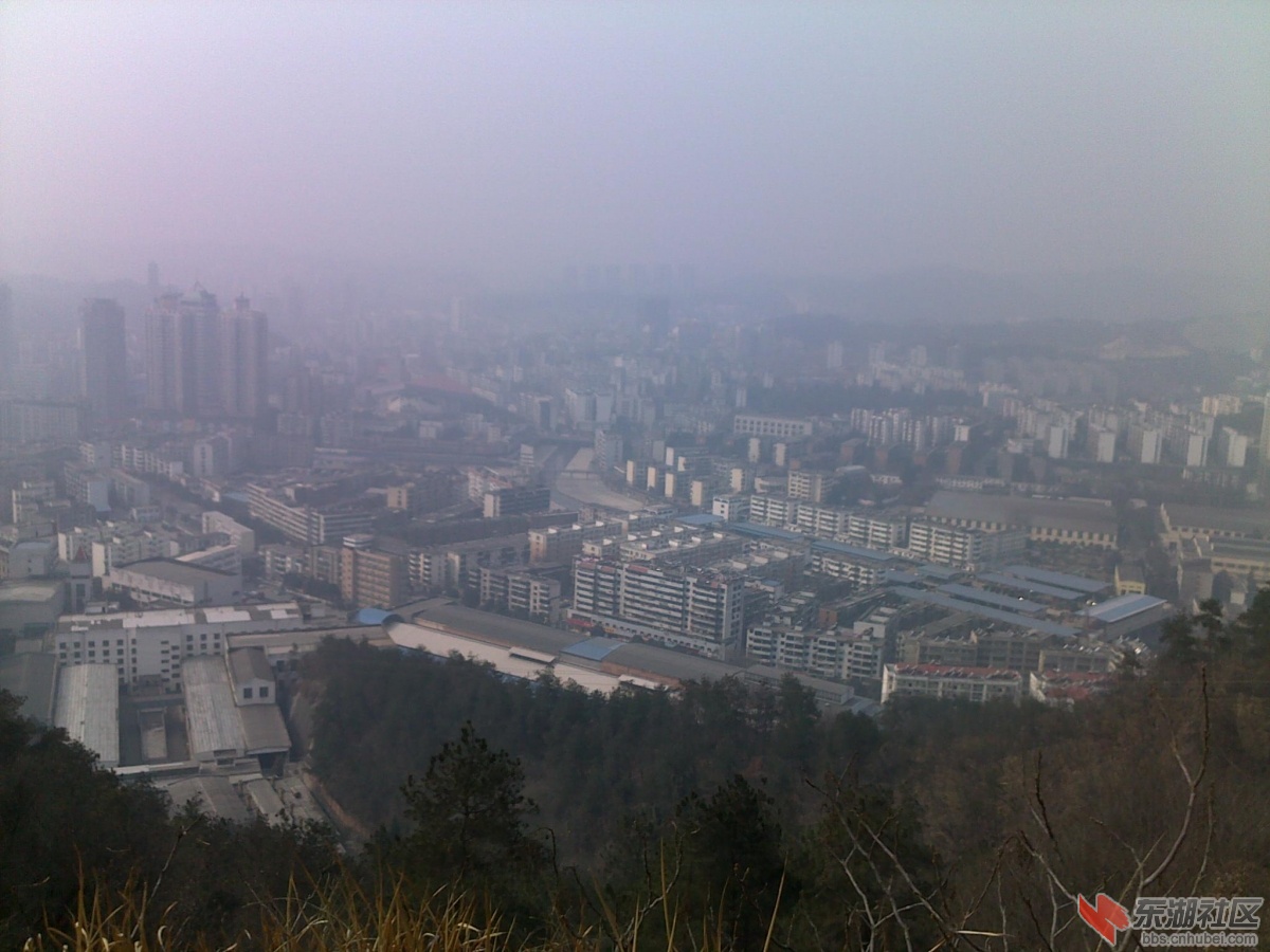 201202221109.jpg