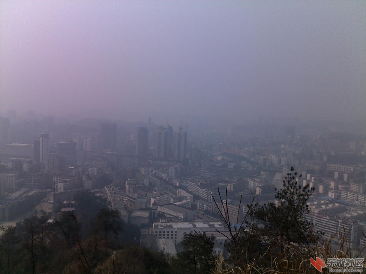201202221113.jpg