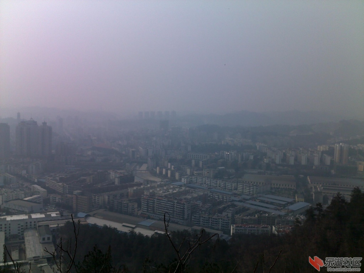 201202221119.jpg
