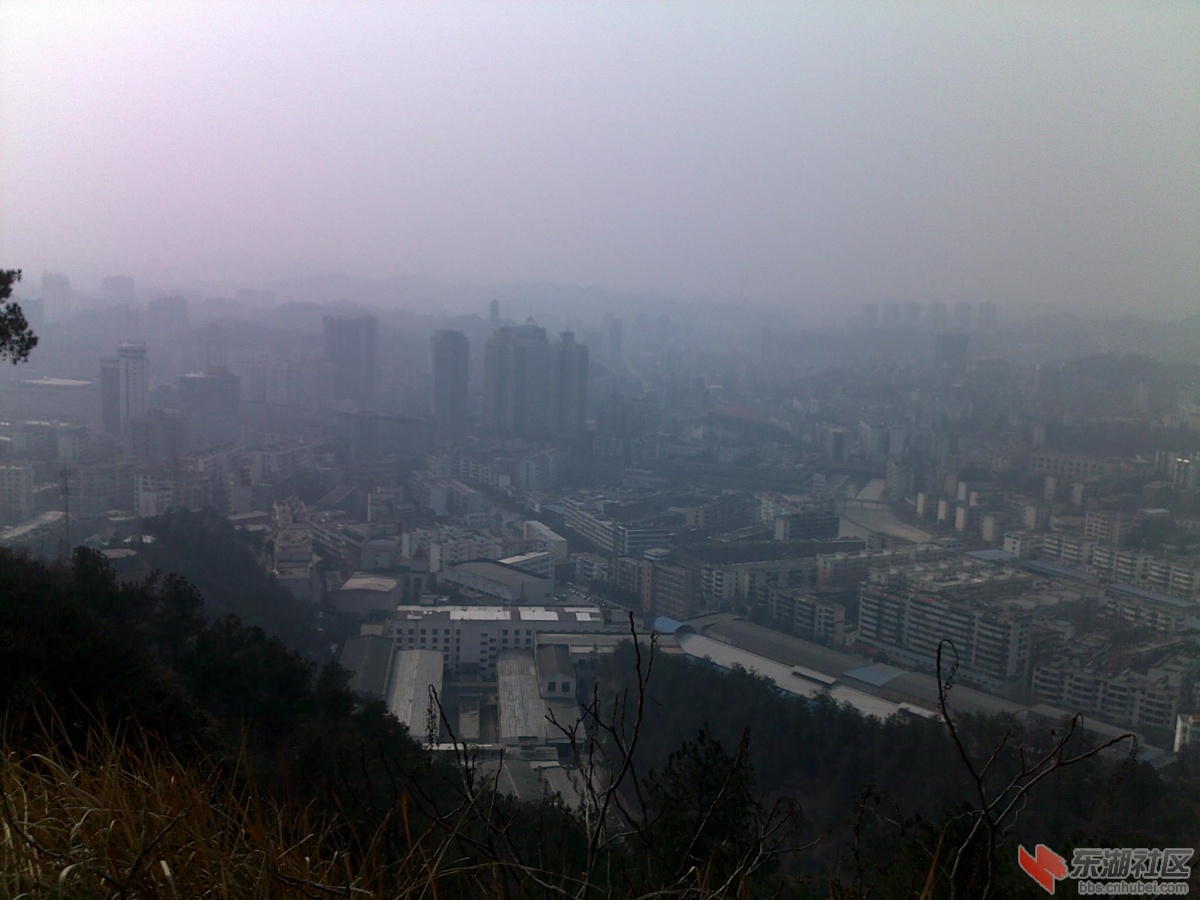201202221121.jpg