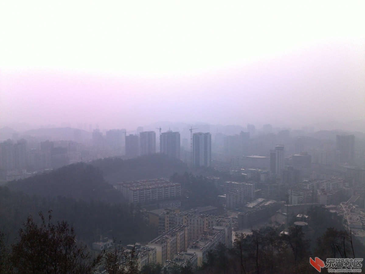 201202221123.jpg