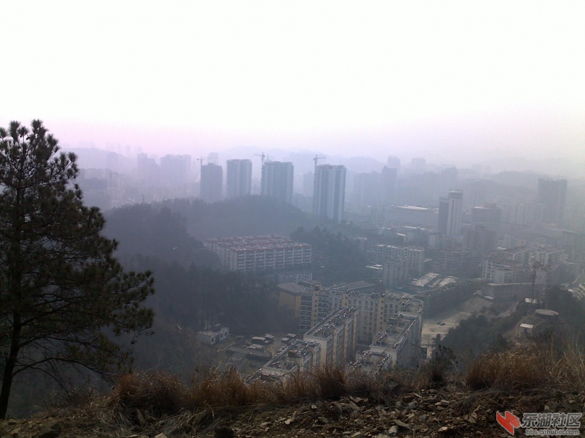 201202221124.jpg