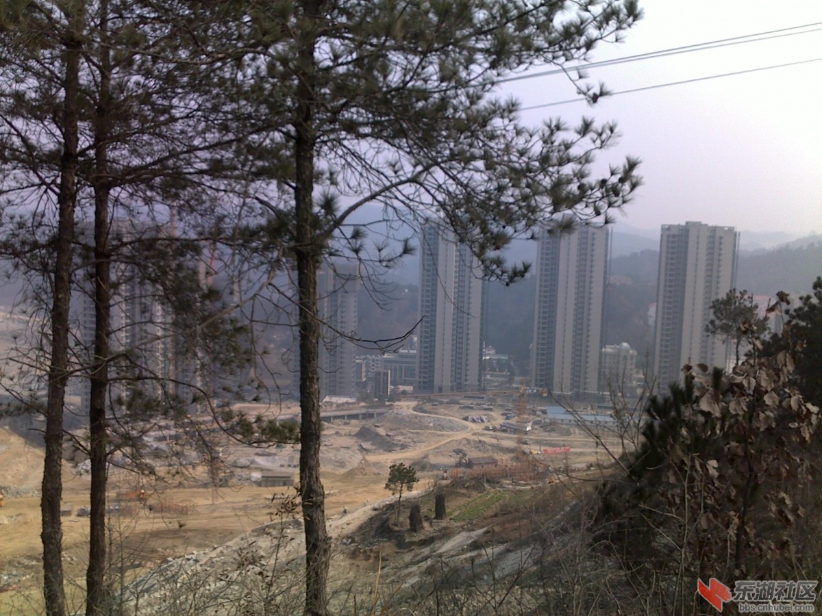 201202221126.jpg