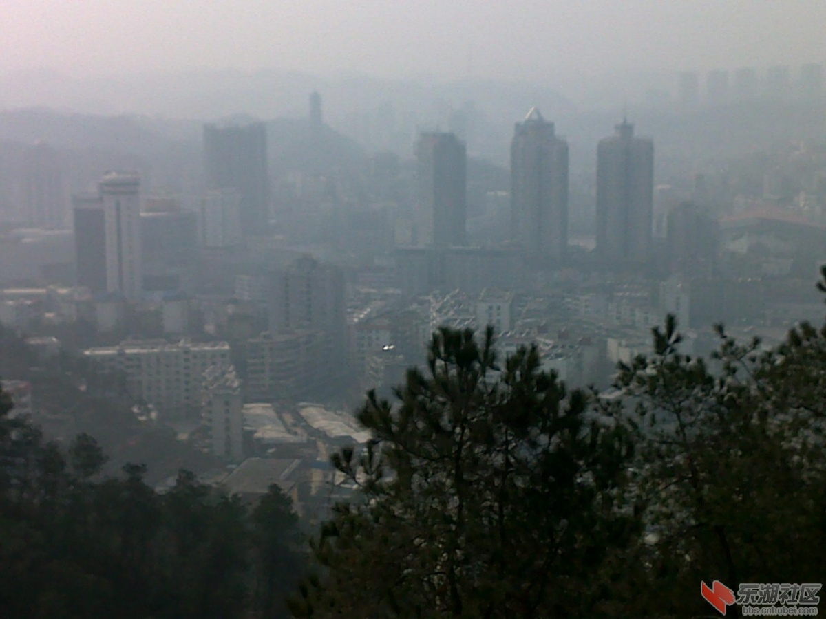 201202221135.jpg
