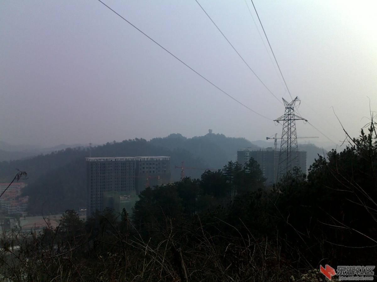 201202221140.jpg