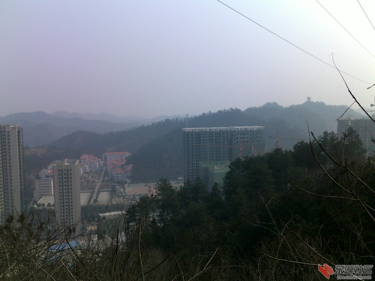201202221141.jpg