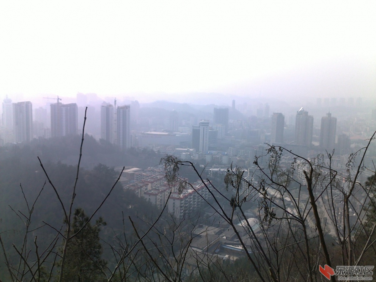201202221142.jpg