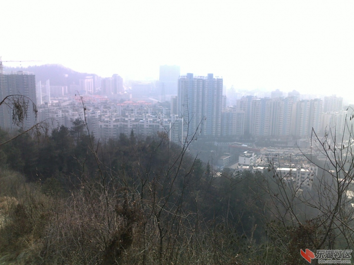 201202221143.jpg